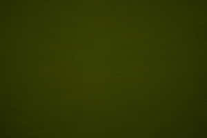 Abstract Olive Green Background Wallpaper
