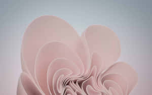 Abstract_ Pink_ Curves_ Background Wallpaper