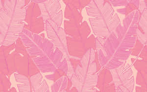 Abstract Pink Pattern Wallpaper Wallpaper