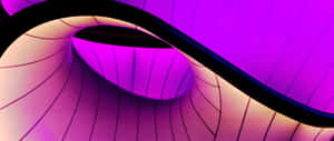 Abstract_ Purple_ Curves_ Background Wallpaper