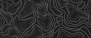 Abstract Topographic Lines Vector Wallpaper