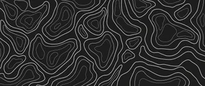 Abstract Topographic Lines Vector Wallpaper