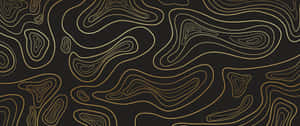 Abstract Topographic Lines Vector Wallpaper