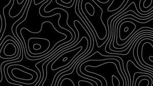 Abstract Topographic Lines4 K B W Wallpaper