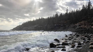 Acadia National Park Monochrome Wallpaper