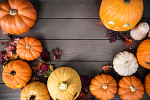 Acres Of Pumpkins Through A Sea Of Color Wallpaper