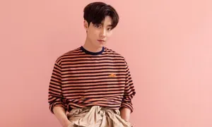 Actor Hwang In Yeop Pink Stripes Wallpaper