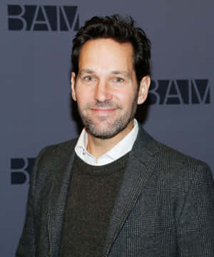 Actor Paul Rudd Wallpaper