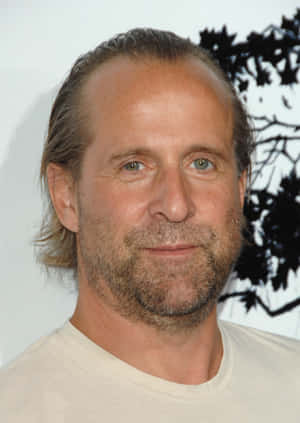 Actor Peter Stormare Brings His Iconic Presence To The World Of Film And Television. Wallpaper