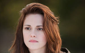 Actress Hd Bella Swan Wallpaper