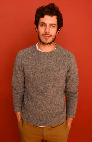 Adam Brody Grey Sweatshirt Wallpaper