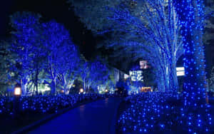 Add A Bold Statement To Your Room With The Intense Sapphire Blue Wallpaper Wallpaper