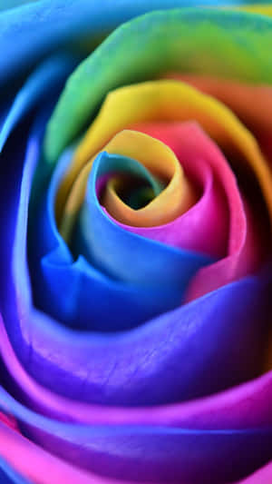 Add A Burst Of Color To Your Smartphone With This Rainbow Flower Iphone Wallpaper! Wallpaper