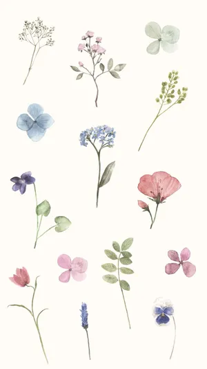Add A Pop Of Color And Style To Your Spring Look Wallpaper