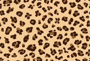 Add A Pop Of Pink To Your Style With Leopard Print! Wallpaper