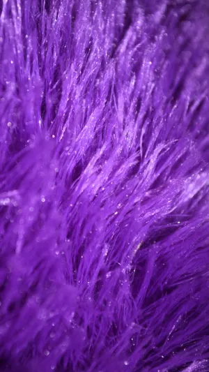 Add A Soft Touch To Your Home With Purple Faux Fur Wallpaper