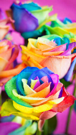 Add A Splash Of Vibrant Color To Your Phone With This Rainbow Flower Iphone Wallpaper Wallpaper