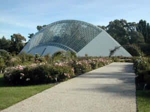 Adelaide Botanic Garden Bicentennial Conservatory Wallpaper