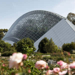 Adelaide Botanic Garden Bicentennial Conservatory Wallpaper