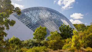 Adelaide Botanic Garden Bicentennial Conservatory Wallpaper