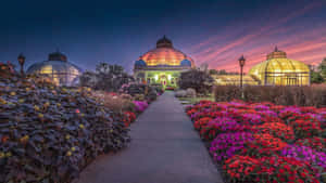 Adelaide Botanic Garden Dusk View Wallpaper