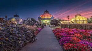 Adelaide Botanic Garden Dusk View Wallpaper