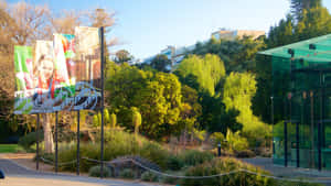 Adelaide Botanic Garden Entrance Banner Wallpaper