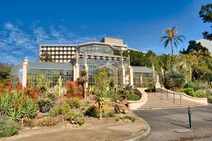 Adelaide Botanic Garden Palm House Wallpaper