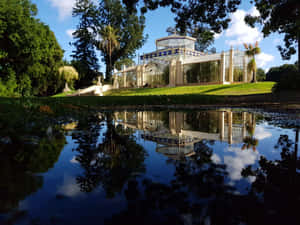 Adelaide Botanic Garden Palm House Reflection Wallpaper