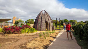 Adelaide Botanic Garden Pathwayand Structures Wallpaper