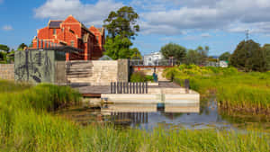 Adelaide Botanic Garden Wetland Area Wallpaper