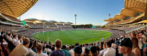 Adelaide Oval Cricket Match Panorama Wallpaper