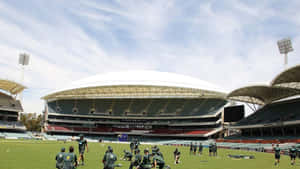 Adelaide Oval Cricket Practice Session Wallpaper