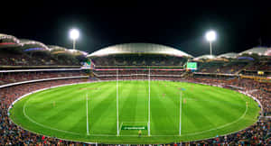 Adelaide Oval Night Match A F L Wallpaper