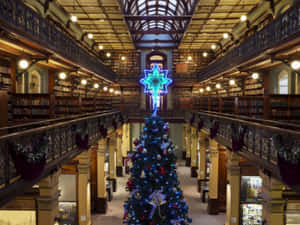Adelaide State Library Christmas Decoration Wallpaper