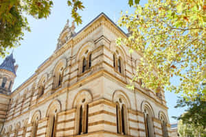 Adelaide State Library Exterior Wallpaper