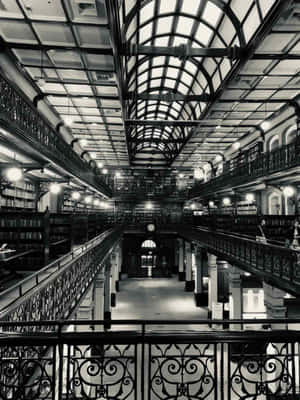 Adelaide State Library Interior Blackand White Wallpaper