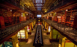 Adelaide State Library Interior View Wallpaper