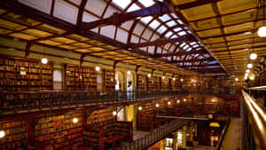 Adelaide State Library Interior Wallpaper