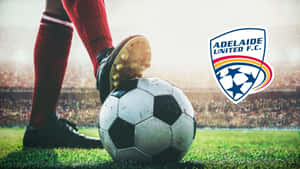 Adelaide United Football Club In Action Wallpaper