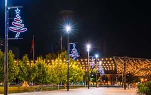 Adelaide Victoria Square Christmas Lights Wallpaper