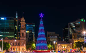 Adelaide Victoria Square Christmas Tree Night Wallpaper