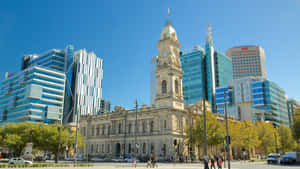 Adelaide Victoria Square Daytime Wallpaper