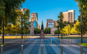 Adelaide Victoria Square Downtown View Wallpaper