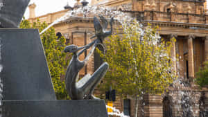 Adelaide Victoria Square Fountain Sculpture Wallpaper