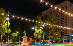 Adelaide Victoria Square Night View Wallpaper