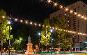 Adelaide Victoria Square Night View Wallpaper