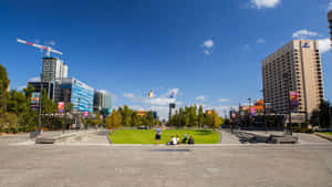 Adelaide Victoria Square Sunny Day Wallpaper