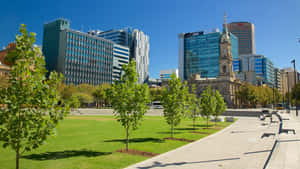 Adelaide Victoria Square Urban Landscape Wallpaper