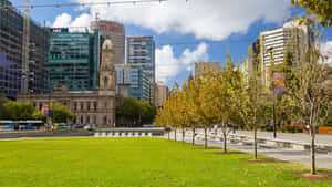 Adelaide Victoria Square Urban Landscape Wallpaper